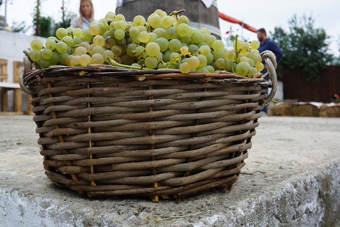 Bike & Wine tour in Dealu Mare wineland - Is the $139.67 price good value?