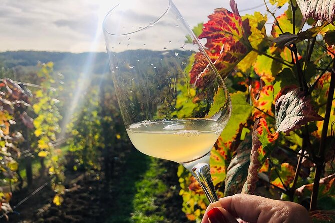 Bike & Wine tour in Dealu Mare wineland - Conacul Bellu and its old Romanian style