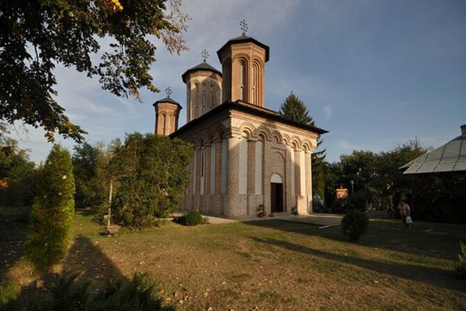 Bison Sanctuary, Vlad the Impaler Princely Court & Dracula Grave - Should you book the bison, Vlad, and Snagov route?