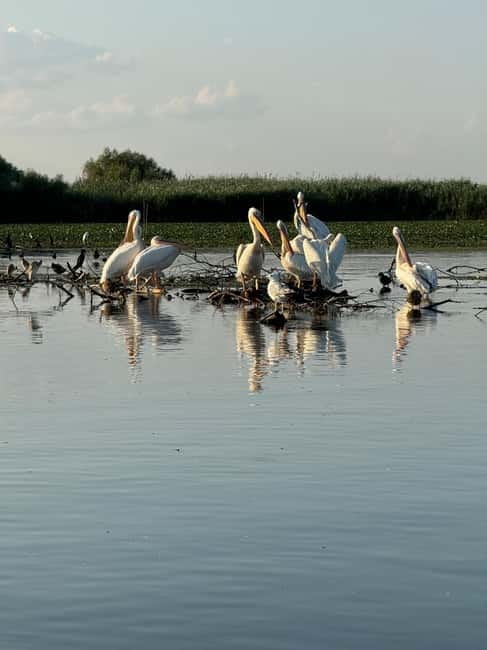 Boat Trip to Caraorman Forest – Danube Delta (6–7 hours) - Lake Cabluata and the fisherman’s secret canal