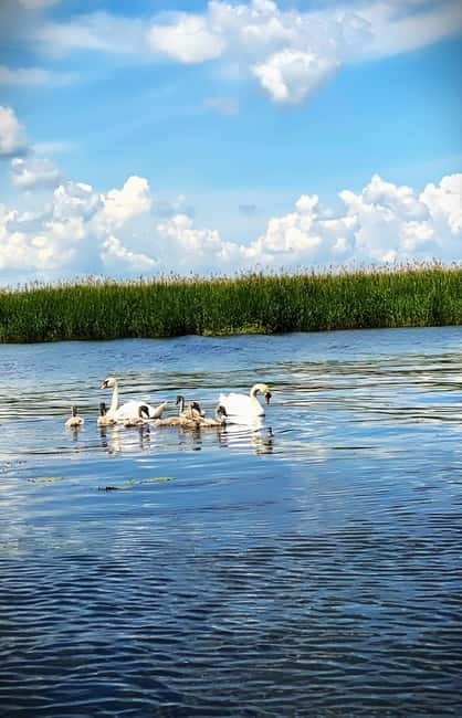 Boat Trip to Caraorman Forest – Danube Delta (6–7 hours) - Lakes Isăcel and Isac, with fishing at the center