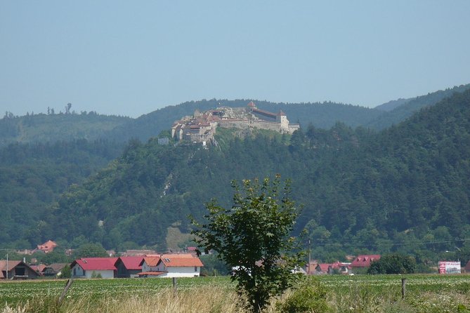 Bran Castle and more options private tour from Brasov - Libearty Bear Sanctuary: a serious alternative to another castle
