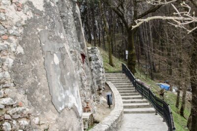 Bran Castle, Bear Sanctuary, and Rasnov Fortress Half Day Tour