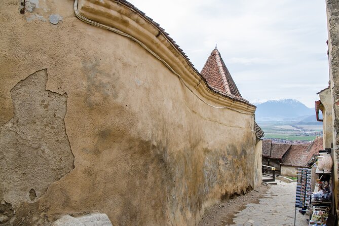 Bran Castle, Bear Sanctuary, and Rasnov Fortress Half Day Tour - Who should book this Brasov tour?