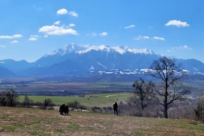Bran Castle & Bear Sanctuary from Brasov – Optional Peles Castle
