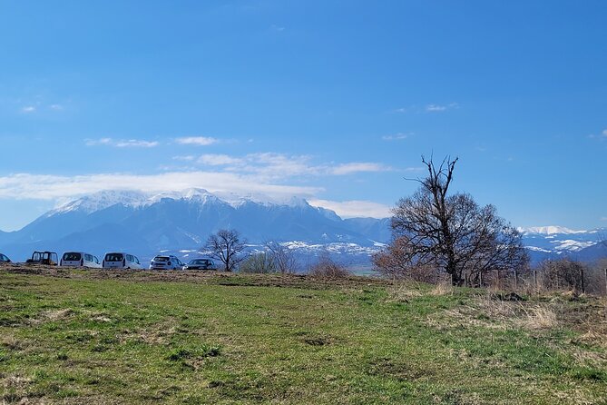 Bran Castle & Bear Sanctuary from Brasov - Optional Peles Castle - Bran Castle beyond the Dracula label