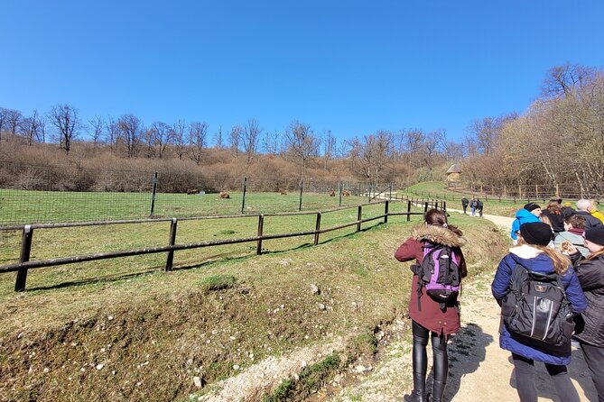 Bran Castle & Bear Sanctuary from Brasov - Optional Peles Castle - Adding Peles Castle to the route