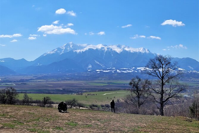 Bran Castle & Bear Sanctuary from Brasov - Optional Peles Castle - The drive from Brasov to Zarnesti