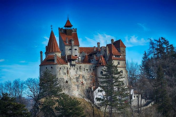 Bran Castle - trip from Brasov - Key points to know before booking