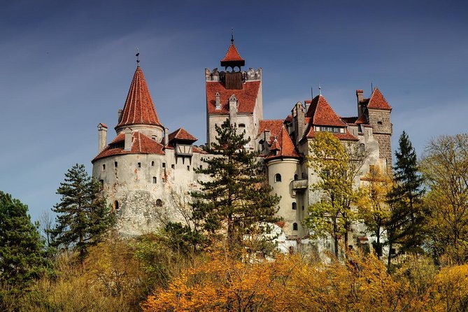 Bran (Dracula) Castle, Bear Sanctuary, Rasnov Fortress & Palinca Distillery - Rasnov Fortress and the hilltop view