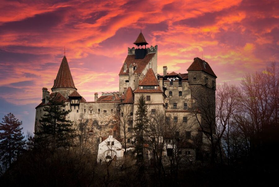 Bran: Guided Castle Tour - Key points to know before booking