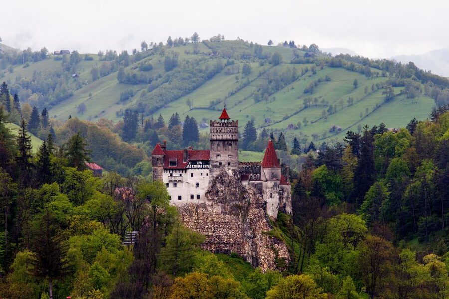 Bran: Guided Castle Tour - Why a guided Bran Castle visit is worth your hour