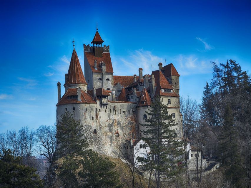 Bran: Guided Castle Tour - The music room and castellans office add everyday detail