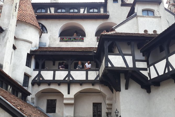 Brasov: Bear Sanctuary, Bran Castle & Rasnov Fortress GUIDED Tour - How the timing works across an eight-hour day