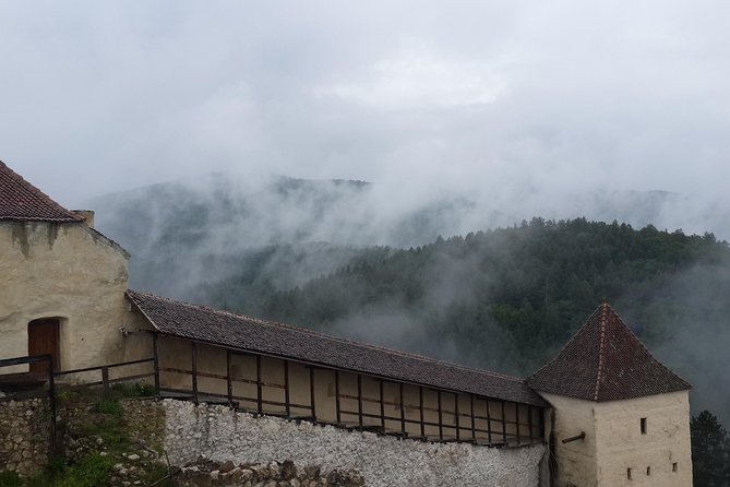 Brasov: Bear Sanctuary, Bran Castle & Rasnov Fortress GUIDED Tour - The real cost: $69.54 plus admissions