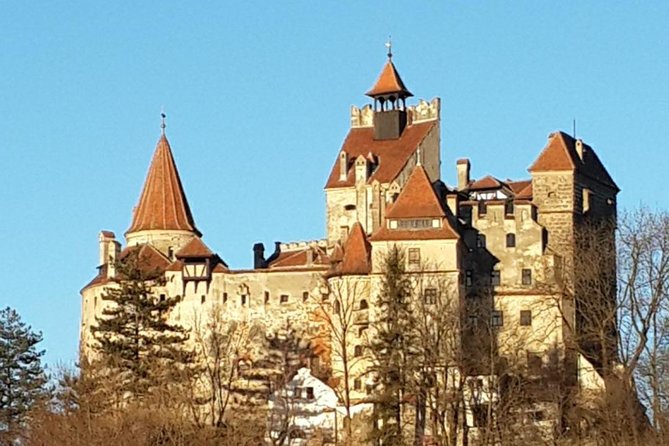 Brasov: Bear Sanctuary, Bran Castle & Rasnov Fortress GUIDED Tour - Rasnov Fortress and the important renovation warning