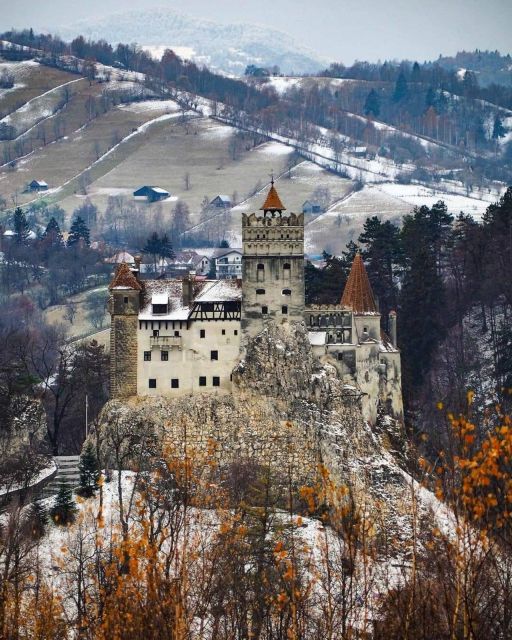Brasov: Bear Sanctuary, Bran Castle & Rasnov Fortress Tour - Key points to know before booking