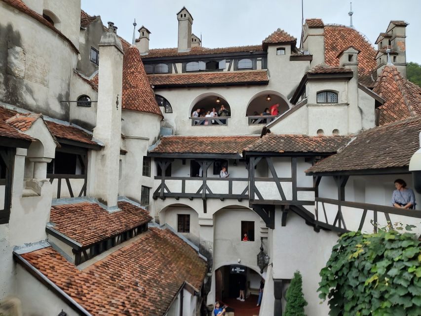 Brasov: Bear Sanctuary, Bran Castle & Rasnov Fortress Tour - Booking details that affect your day