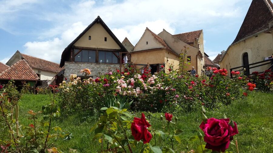 Brasov: Bear Sanctuary, Bran Castle & Rasnov Fortress Tour - Bran Castle: history behind the Dracula name