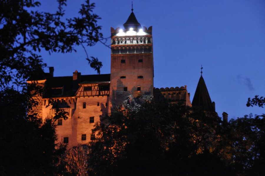 Brasov: Bear Sanctuary, Bran Castle & Rasnov Fortress Tour - What the small group and transport add