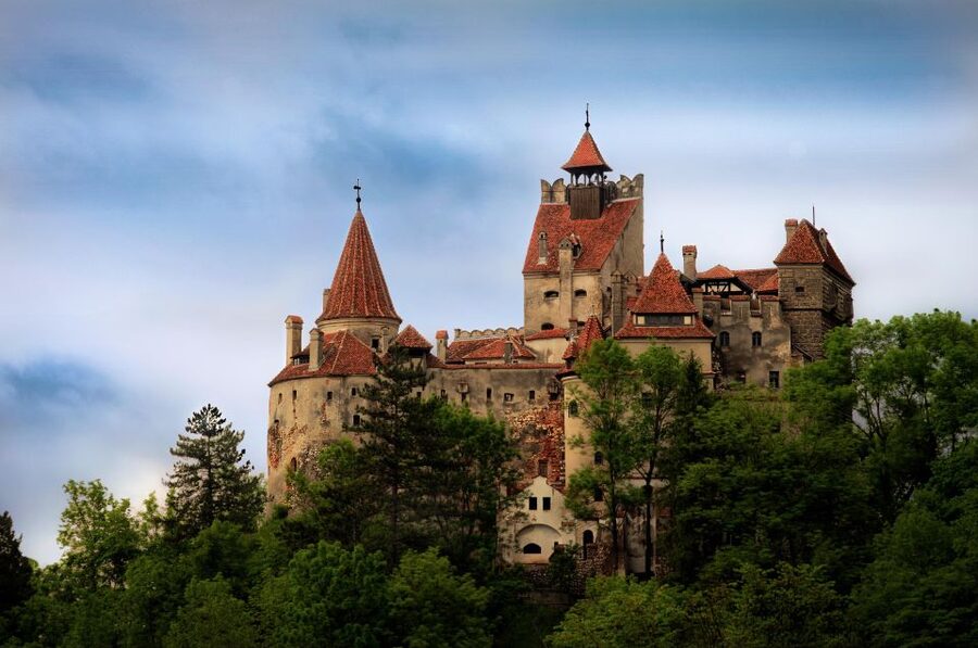 Brasov: Bear Sanctuary, Dracula Castle, and Râşnov Fortress - Key points before you book