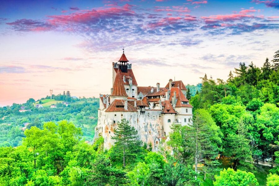 Brasov: Bear Sanctuary, Dracula Castle, and Râşnov Fortress - Why the guide and vehicle matter