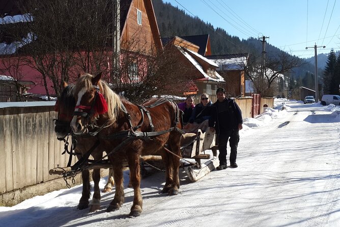 Brasov: Bears Sanctuary, Rasnov Fortress, Bran Castle GUIDED Tour - Walking, weather, and daily comfort