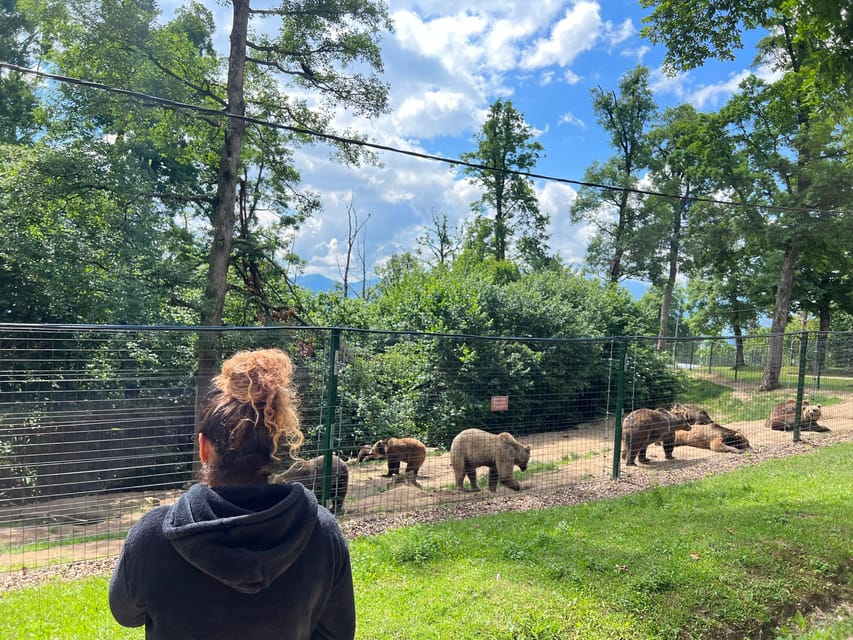Brasov: Bran Castle, Bear Sanctuary, Rasnov (Peles Optional) - Why the bear sanctuary is the emotional center
