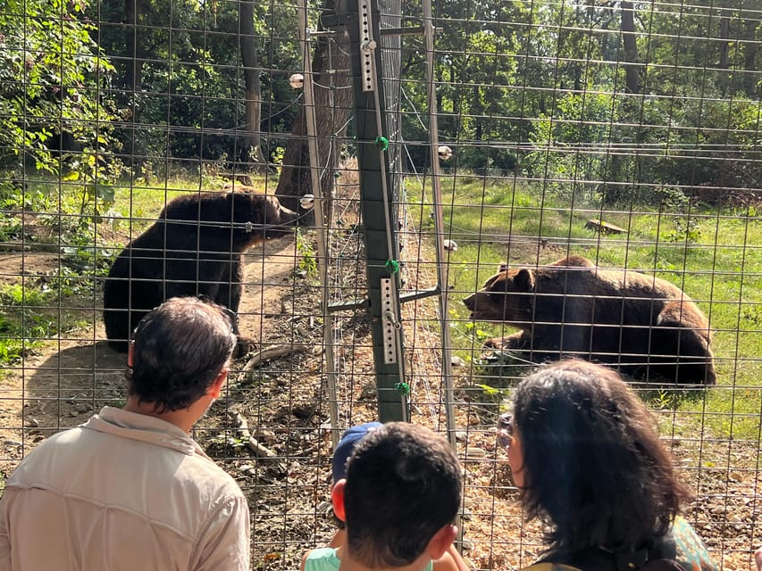Brasov: Bran Castle, Bear Sanctuary, Rasnov (Peles Optional) - Practical advice before you go