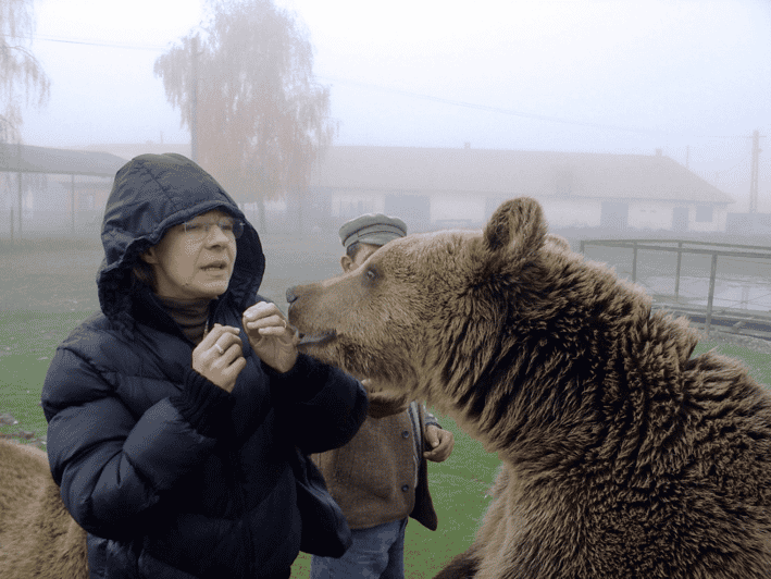 Brasov: Libearty Bear Sanctuary - Why Libearty Is More Than a Wildlife Stop