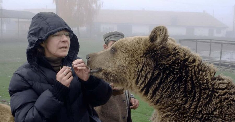 Brasov: Libearty Bear Sanctuary - Walking Through 69 to 70 Hectares of Forest