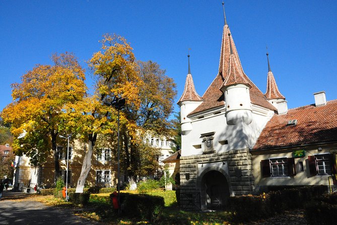Brasov Old Town Small-Group Walking Tour - What the guides add