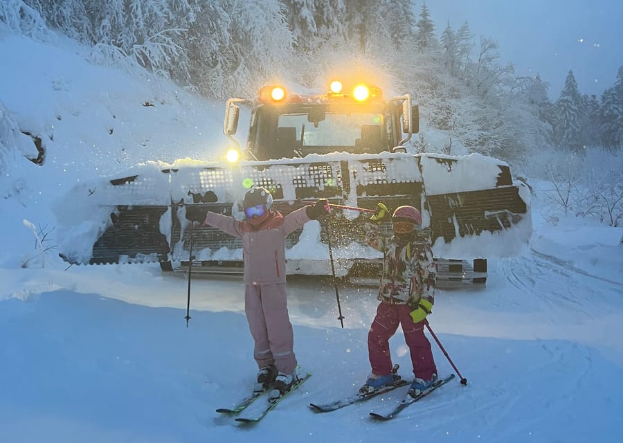 Brasov: Ski Lessons Day Trip For All Ages And Levels - Who will get the most from this lesson