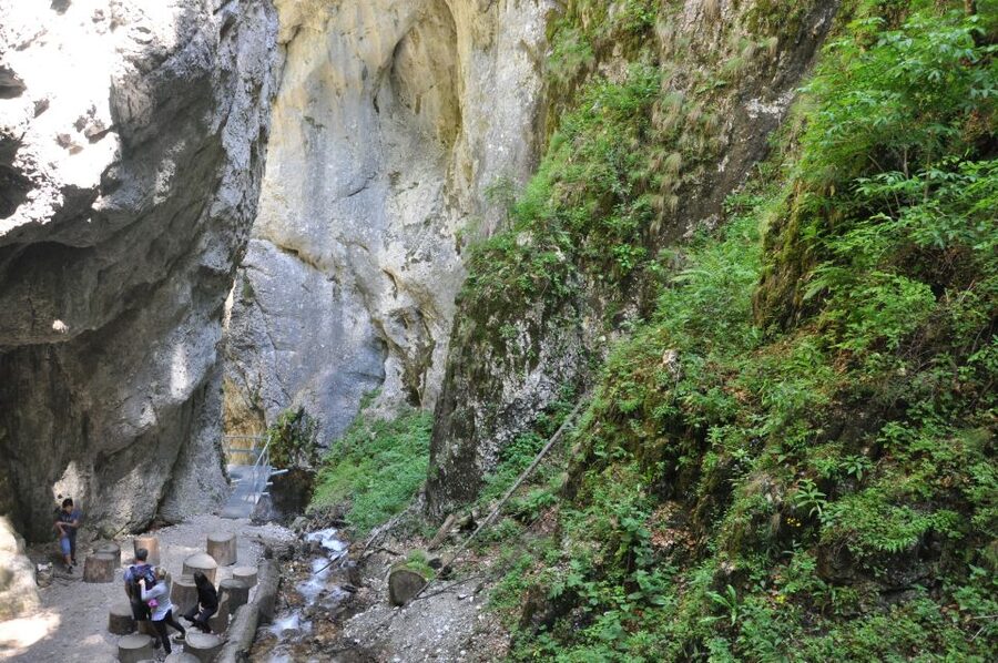 Brasov: Small-Group 7 Ladders Canyon Day Trip - Practical details that make the day easier
