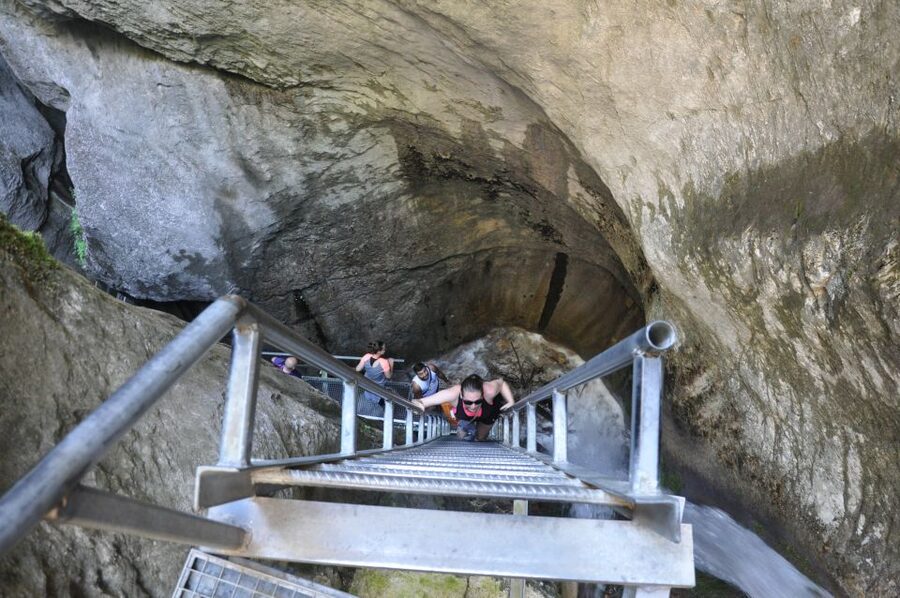 Brasov: Small-Group 7 Ladders Canyon Day Trip - Why Seven Ladders Canyon is worth your morning