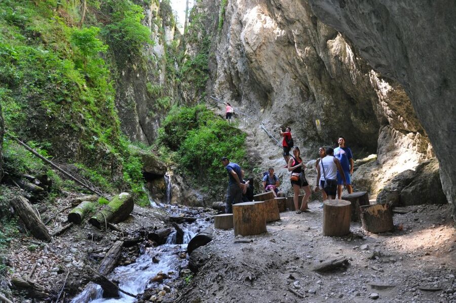 Brasov: Small-Group 7 Ladders Canyon Day Trip - The 45-minute walk through meadows and pine forest