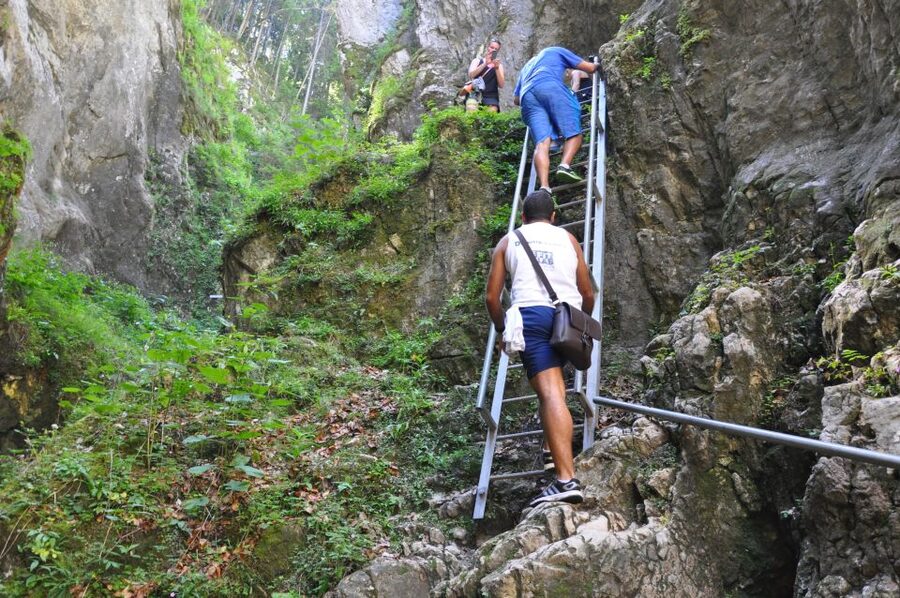 Brasov: Small-Group 7 Ladders Canyon Day Trip - The Bear Wall side trail and the forest return