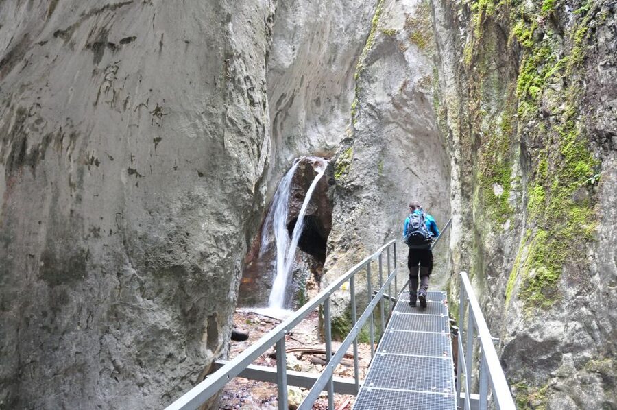 Brasov: Small-Group 7 Ladders Canyon Day Trip - Who should book this hike?