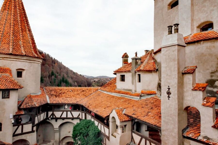 Bucharest: Bran Castle and Bear Sanctuary Small-Group Tour - FAQ