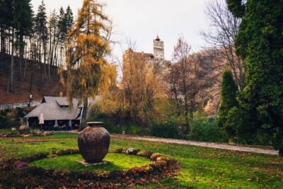 Bran Castle and Bear Sanctuary Small-Group Tour