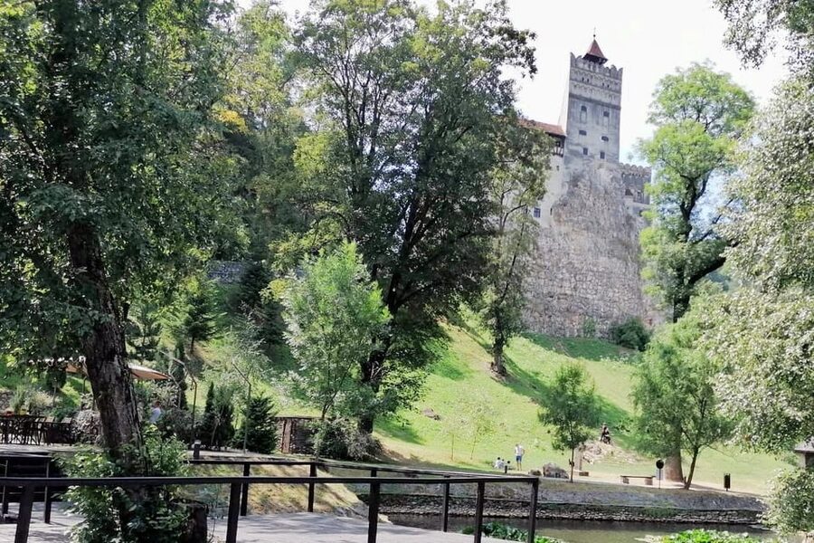 Bucharest: Bran Castle and Bear Sanctuary Small-Group Tour - Who will enjoy this Bucharest day trip