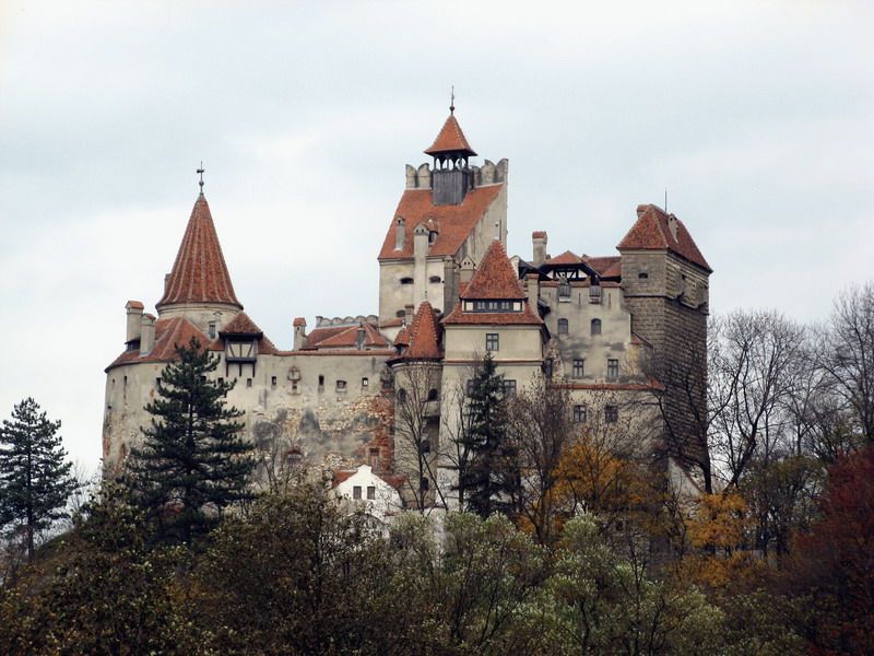 Bucharest: Bran & Peles Castle with Rasnov Citadel Day Trip - Who should book this trip?