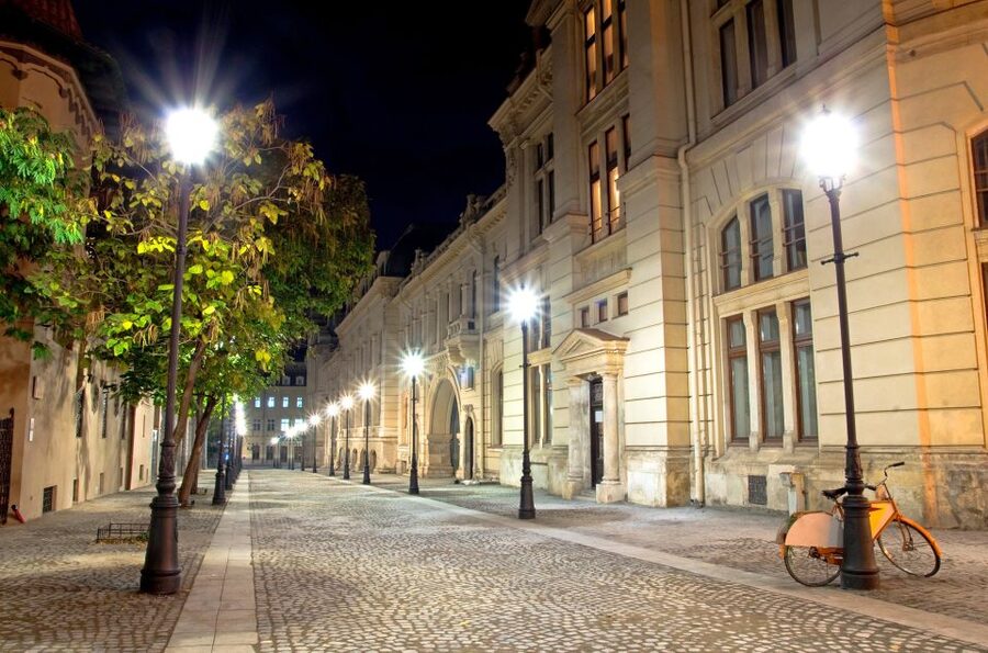 Bucharest: Charm of the Belle Époque Private Tour - Palaces, royal power, and public ambition