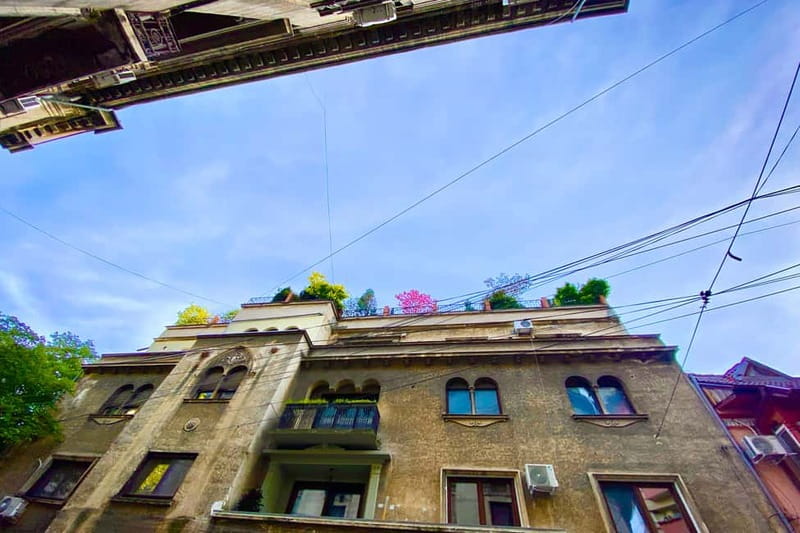 Bucharest: Craft Beer Tour with Traditional Meal - Timing, group size, and the practical details