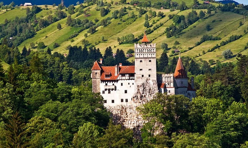 Bucharest: Day Trip to Bear Sanctuary, Bran Castle & Brasov - Why the bear sanctuary is the heart of the day