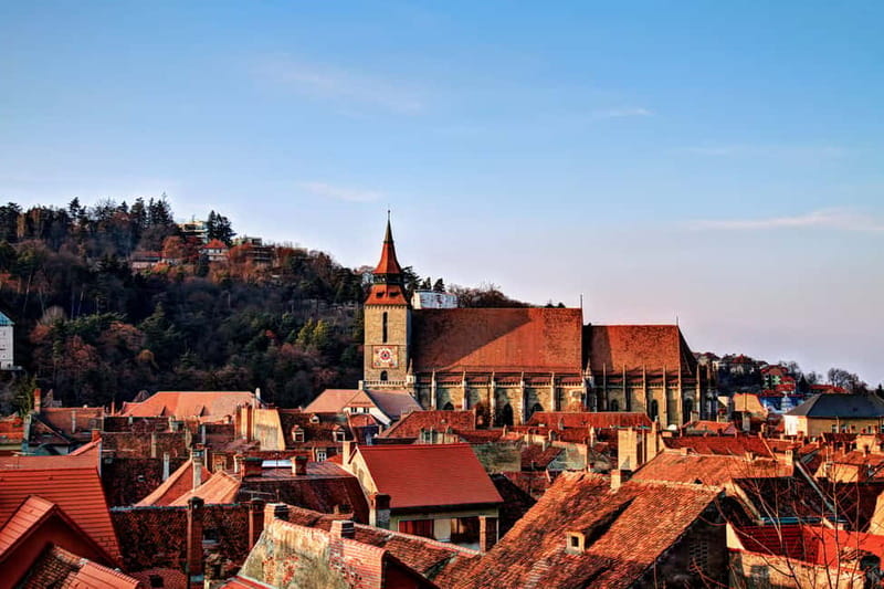Bucharest: Day Trip to Bear Sanctuary, Bran Castle & Brasov - The Teddy Bear museum adds a lighter note
