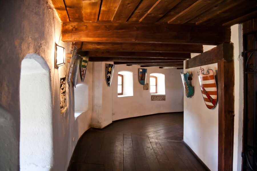 Bucharest: Day Trip to Dracula Castle, Peles Castle & Brașov - Should you book it?