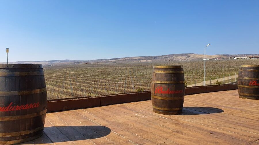 Bucharest: Dealu Mare Winery Private Trip with Wine Tasting - Why Dealu Mare makes a good Bucharest side trip