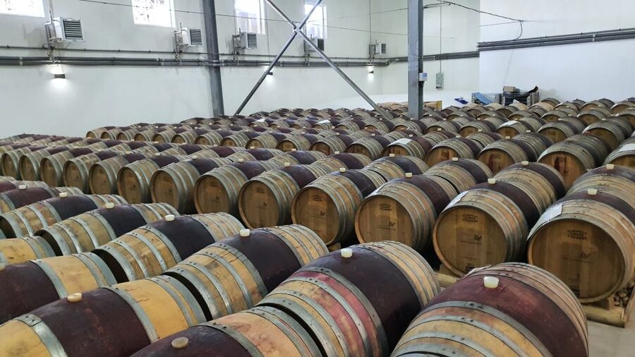 Bucharest: Dealu Mare Winery Private Trip with Wine Tasting - First winery: a guided look at local production