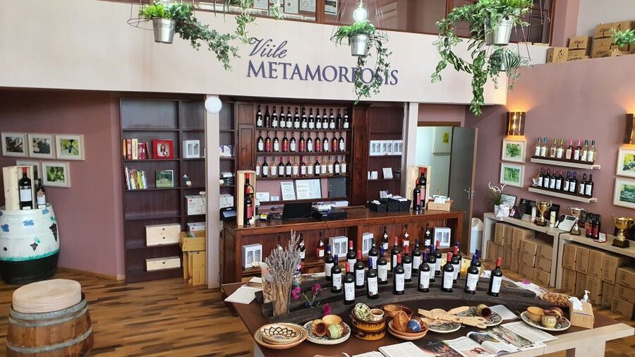 Bucharest: Dealu Mare Winery Private Trip with Wine Tasting - Timing, comfort, and practical limits